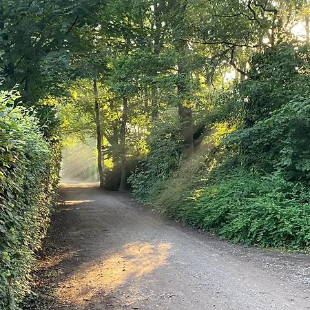 De Paradijsvogel Dom wakacyjny Haaren (North Brabant)