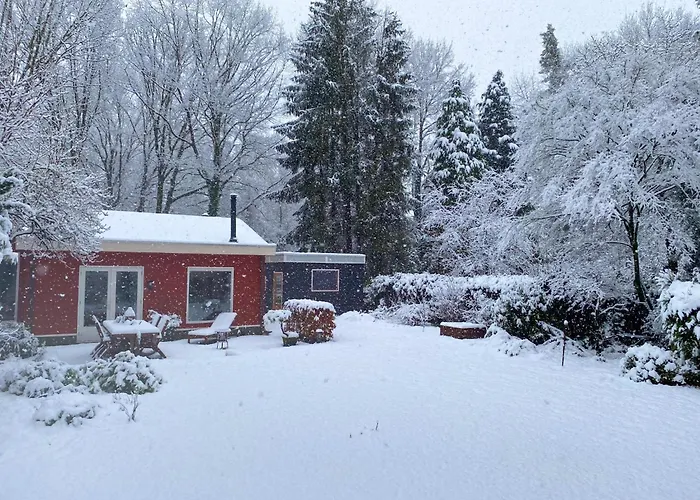 De Paradijsvogel Ferienhaus Haaren (North Brabant)