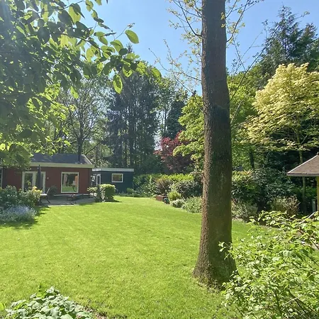 De Paradijsvogel הארן