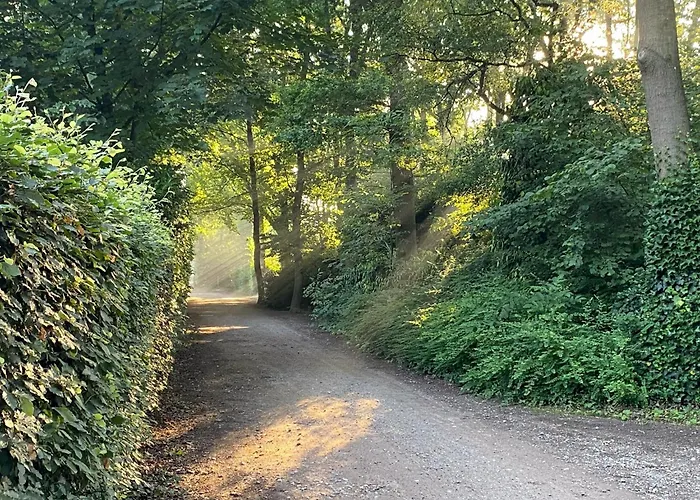 De Paradijsvogel בית נופש הארן